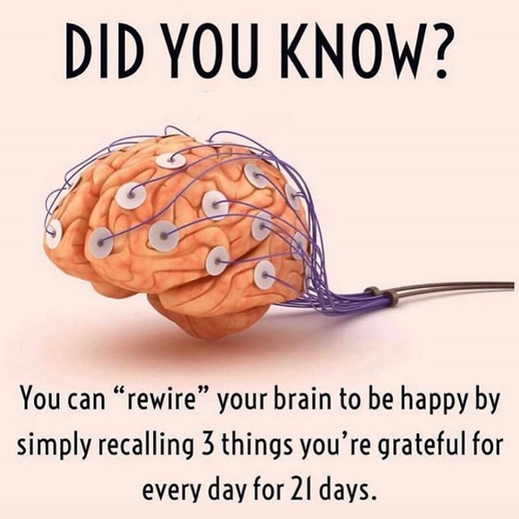 Meet your Posher, Ling - Picture 1 of 1